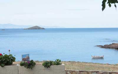 γαυριο ανδρου