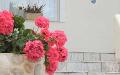 γαυριο ανδρου