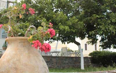 γαυριο ανδρου