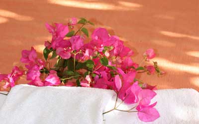 ανδροσ αξιοθεατα